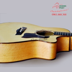 Guitar Acoustic - T550C (Gỗ Còng)