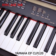 YAMAHA EP CLP120