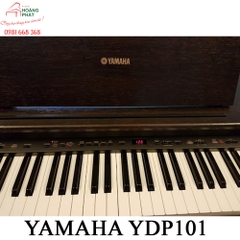 Yamaha YDP 101