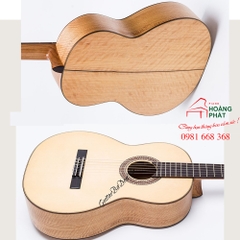 Guitar Classic C-550-C (Còng)