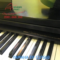 YAMAHA CLP560