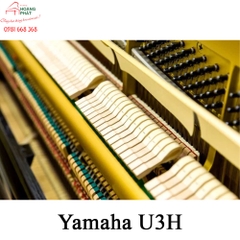 Yamaha U3H (Seri 3.xxx) Autoplay