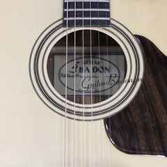 Guitar Acoustic M400