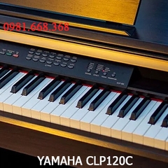 YAMAHA CLP120C