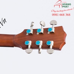 Guitar Acoustic T420