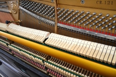 Đàn piano cơ Cristofori CR121-MHC (Auto player)