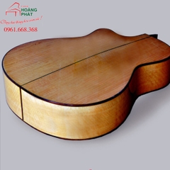 Guitar Acoustic - T550C (Gỗ Còng)