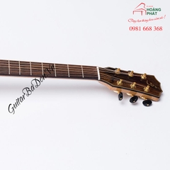 Guitar Acoustic T600