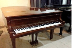 Baby Grand Piano Atlas AG500