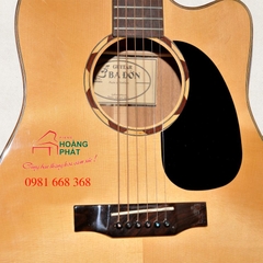 Guitar Acoustic J-550-D Điệp