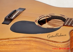 Guitar Acoustic J-550-D Điệp