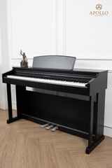 Piano Apollo DP-160 (Piano điện cho dự án)
