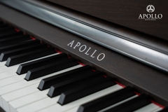 Piano Apollo DP-260 (new)