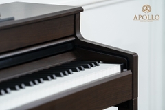 Piano Apollo DP-260 (new)