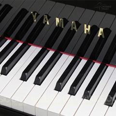 YAMAHA S6