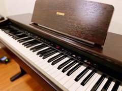 Yamaha YDP-121