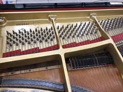 YAMAHA C3 (seri 3940240)