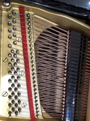 YAMAHA C3 (seri 3940240)