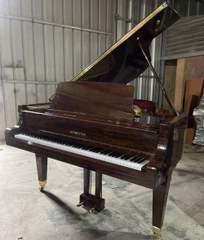GRAND SCHWESTER G60