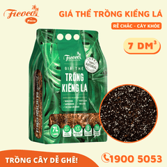 GIÁ THỂ TRỒNG KIỂNG LÁ - 7L