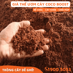 GIÁ THỂ ƯƠM CÂY COCO BOOST - 60L