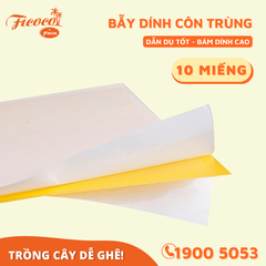 BẪY DÍNH CÔN TRÙNG - DẠNG MIẾNG