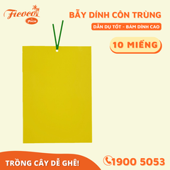 BẪY DÍNH CÔN TRÙNG - DẠNG MIẾNG