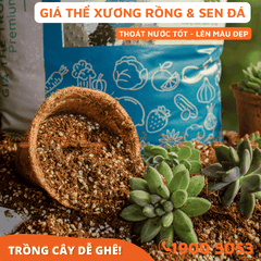 GIÁ THỂ TRỒNG XƯƠNG RỒNG & SEN ĐÁ - 15L