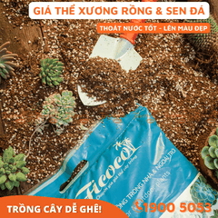 GIÁ THỂ TRỒNG XƯƠNG RỒNG & SEN ĐÁ - 15L