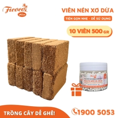 COMBO 10 VIÊN NÉN XƠ DỪA 500GR