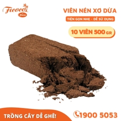 COMBO 10 VIÊN NÉN XƠ DỪA 500GR