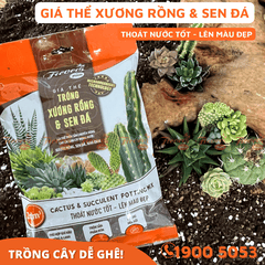 GIÁ THỂ TRỒNG XƯƠNG RỒNG & SEN ĐÁ - 2L