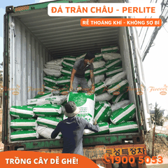 ĐÁ PERLITE (TRÂN CHÂU) - 100L