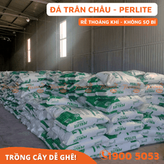 ĐÁ PERLITE (TRÂN CHÂU) - 100L