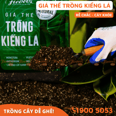 GIÁ THỂ TRỒNG KIỂNG LÁ - 7L