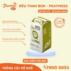 THAN BÙN PEATMOSS - 250L