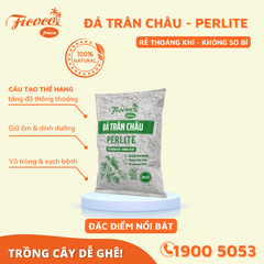 ĐÁ PERLITE (TRÂN CHÂU) - 20L