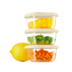 Bộ 3 hộp thực phẩm vuông mini Hokkaido 250ml