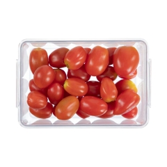 Hộp thực phẩm tritan chữ nhật Hokkaido