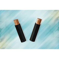 Cáp đồng đơn bọc PVC - CV