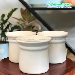 Chậu Loa Mini