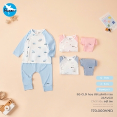 Bộ CLD hoạ tiết phối màu 26AV031