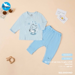 Bộ CLD màu in gấu Love 25AV143