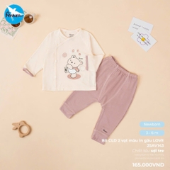 Bộ CLD màu in gấu Love 25AV143