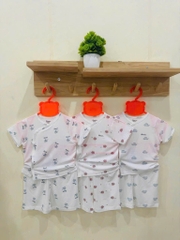 Bộ CLC sợi tre họa tiết 25BD01