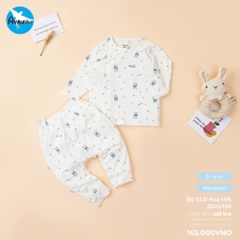 Bộ CLD sợi tre HT cả bộ 25AV150