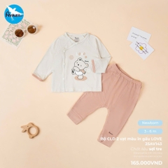 Bộ CLD màu in gấu Love 25AV143