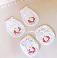 Bao tay chân Mami