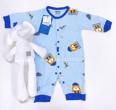 Body liền Mompa