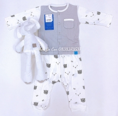 Body liền Mompa